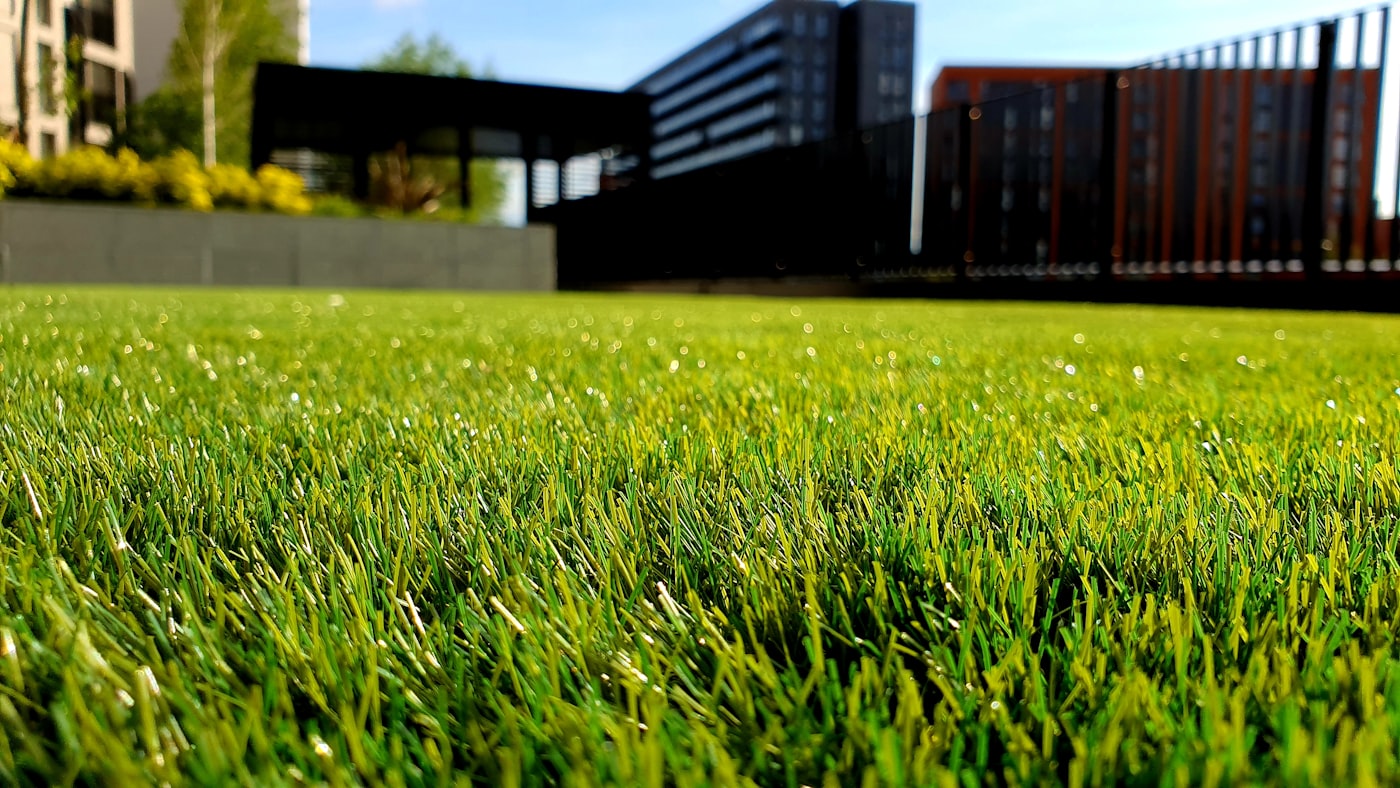 Tuinpad en beplanting